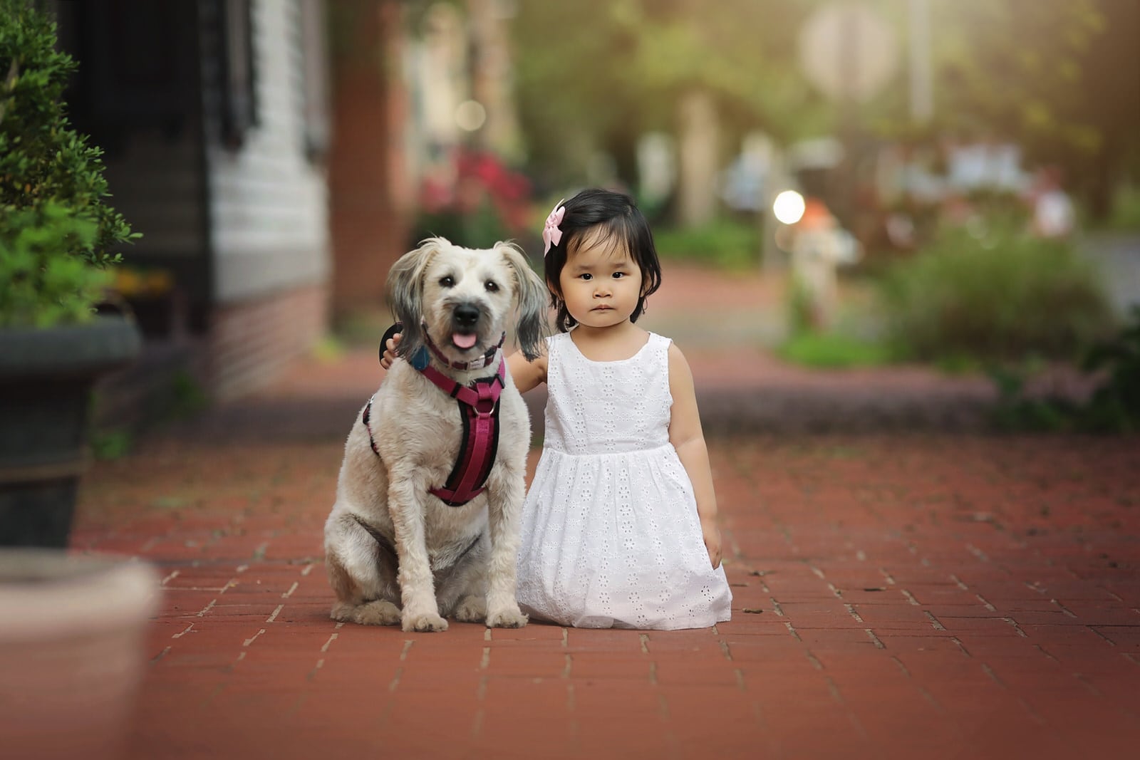 Child photographer photographs little girl and her dog near Mechanicsburg PA