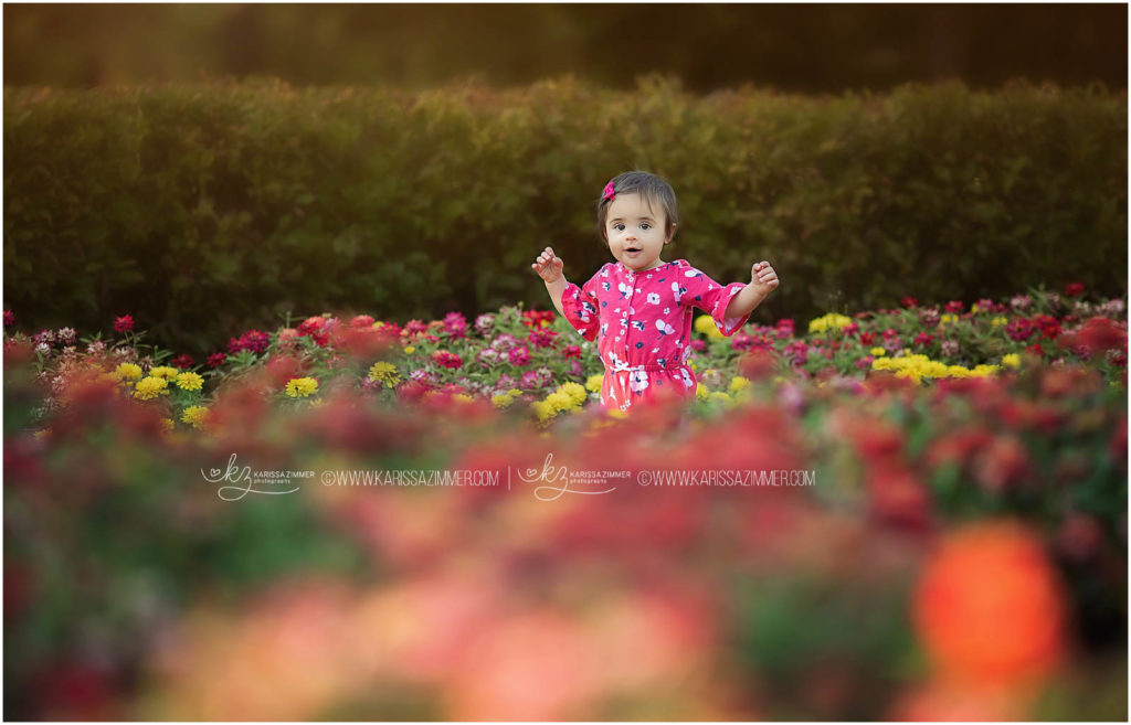 one year old baby walks in a flower garden at her family photography session