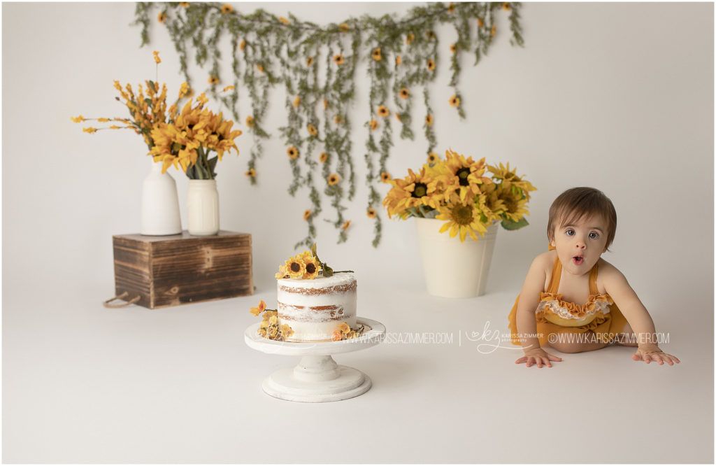 One year old baby girl prepares to eat cake during her first birthday photo shoot in Camp Hill PA