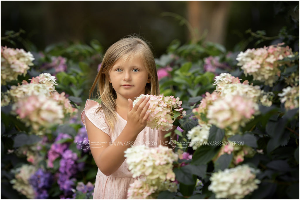 Young girl poses with pink Hydrangeas at The Peter Allen House near Harrisburg PA