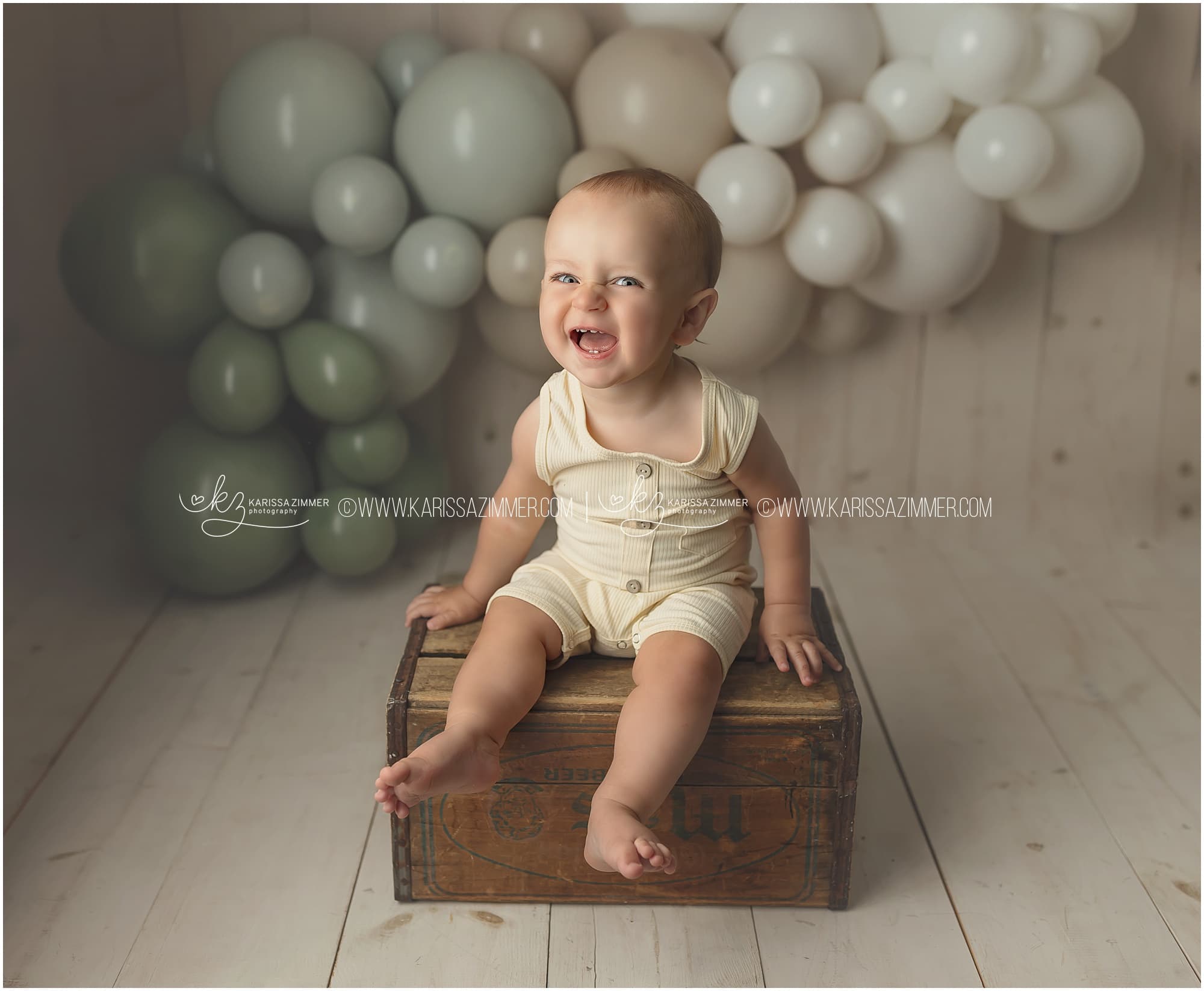 Harrisburg Baby Photographer Shares Tips for Cake Smash Portraits