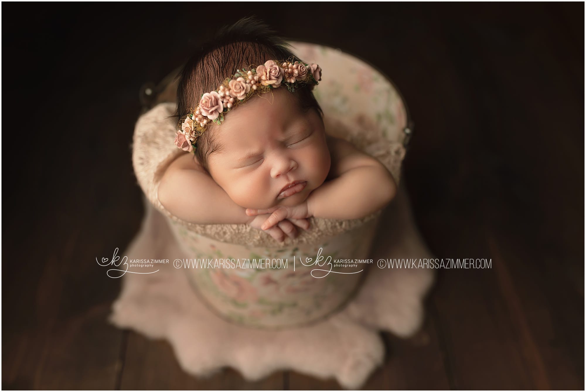 best newborn photographer near mechanicsburg PA