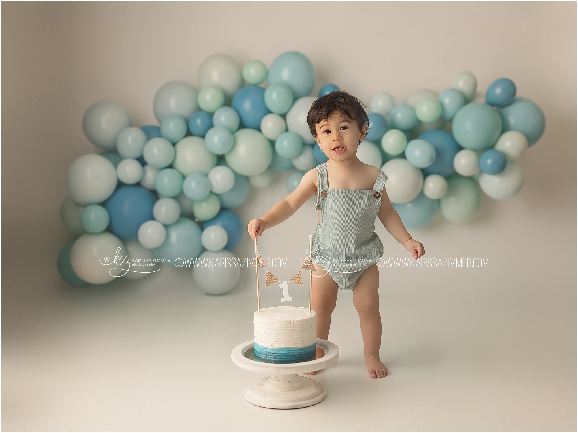 Kamerynn ~ Little Girl Cake Smash Photos | One Big Happy Photo