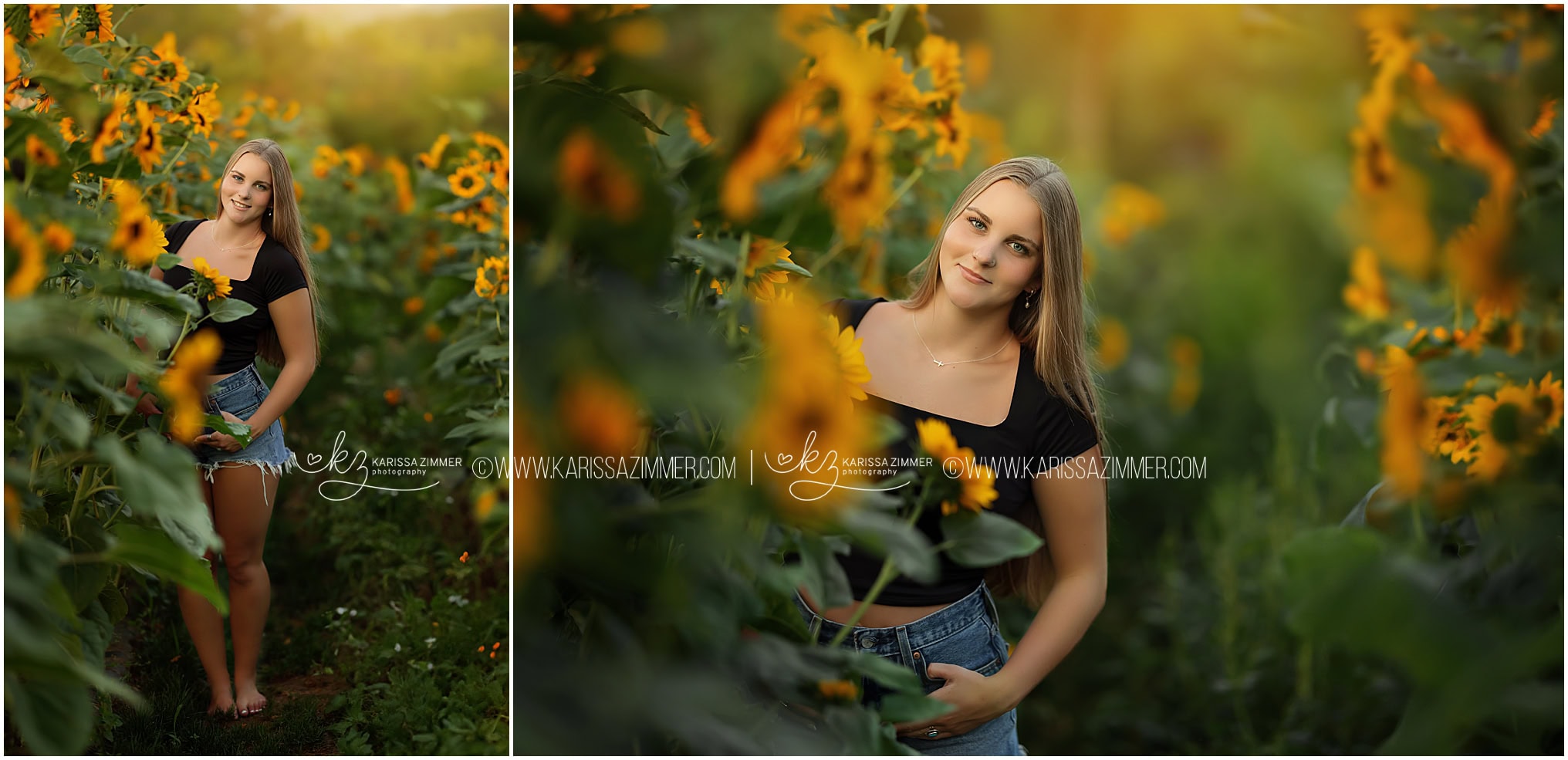 Sunflower field Senior Photography in Mechanicsburg Pennsylvania