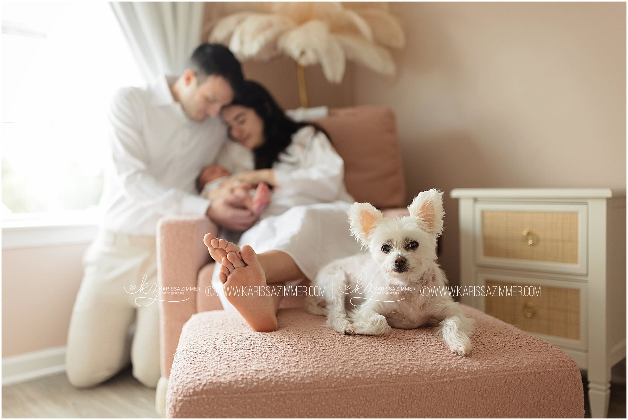 A little white dog joins in lifestyle newborn photo while parents cuddle their baby in the background.